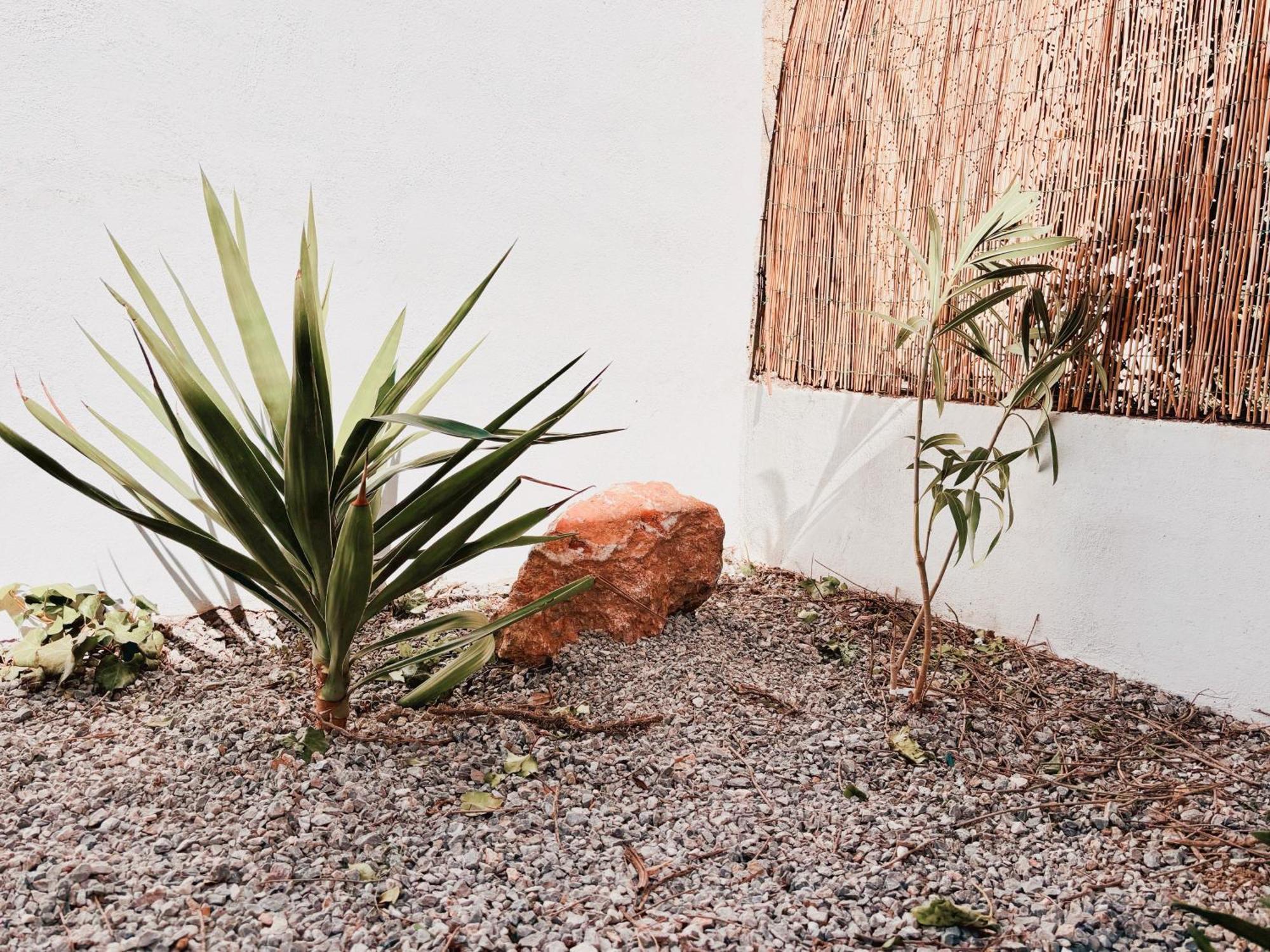 Appartement Avec Jardin Privatif A 300M De La Plage *2* Canet-en-Roussillon Exterior photo
